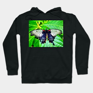 Black Spring Butterfly Hoodie